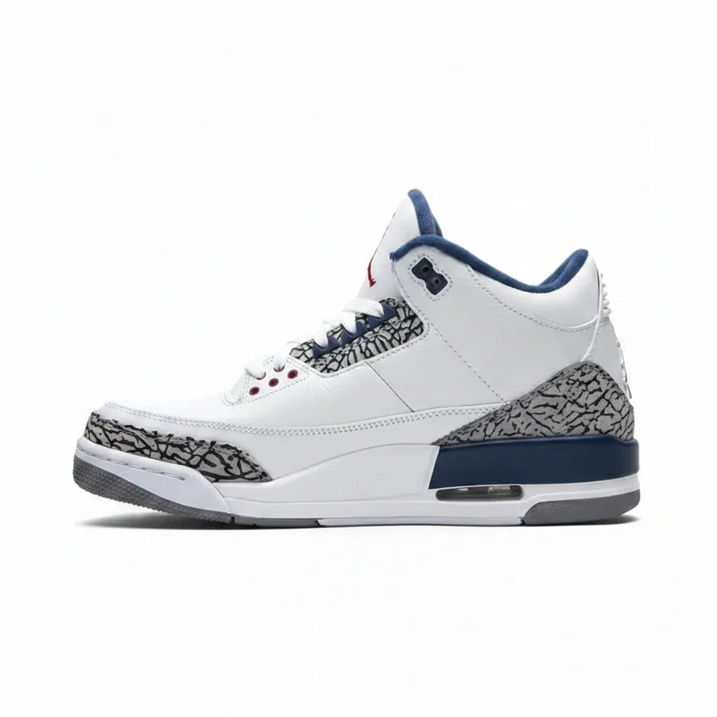Air Jordan 3 Retro 'True Blue' 2011 sneaker product image 1 | Foot Spikes