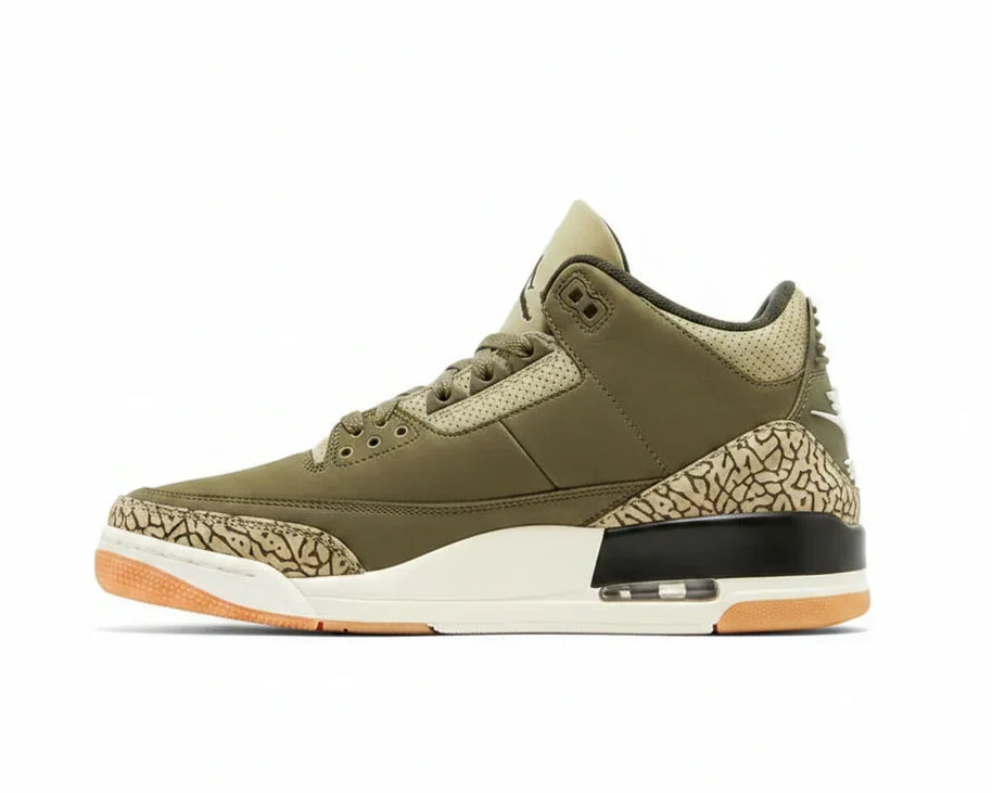 Air Jordan 3 Retro 'Family Affair' sneaker product image 1 | Foot Spikes