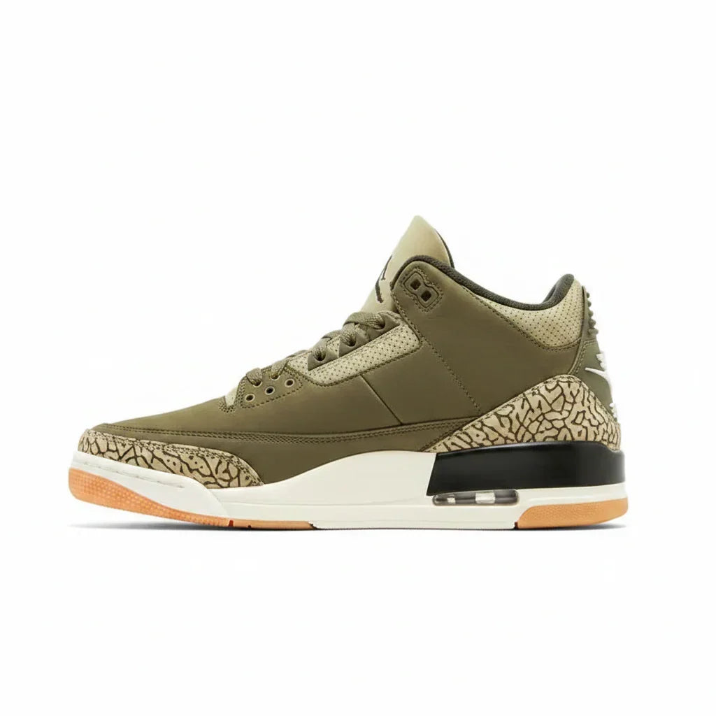 Air Jordan 3 Retro 'Family Affair' sneaker product image 1 | Foot Spikes