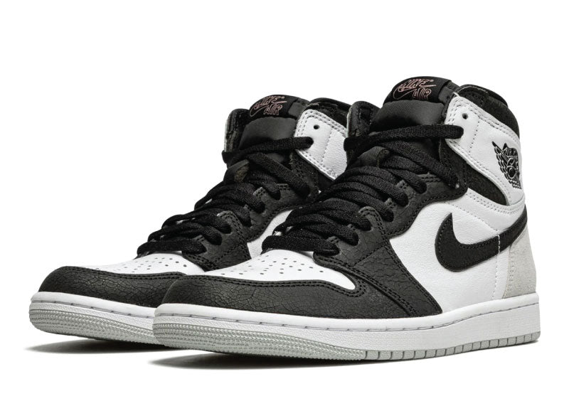 Air Jordan 1 Retro High Silver Toe Women's sneaker product image 2 | Foot Spikes